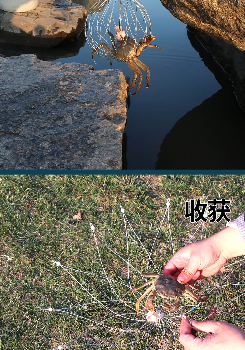 璞后(puhou)大小号不锈钢折叠开合钓龙虾螃蟹笼抓捕螃蟹笼工具钓螃蟹