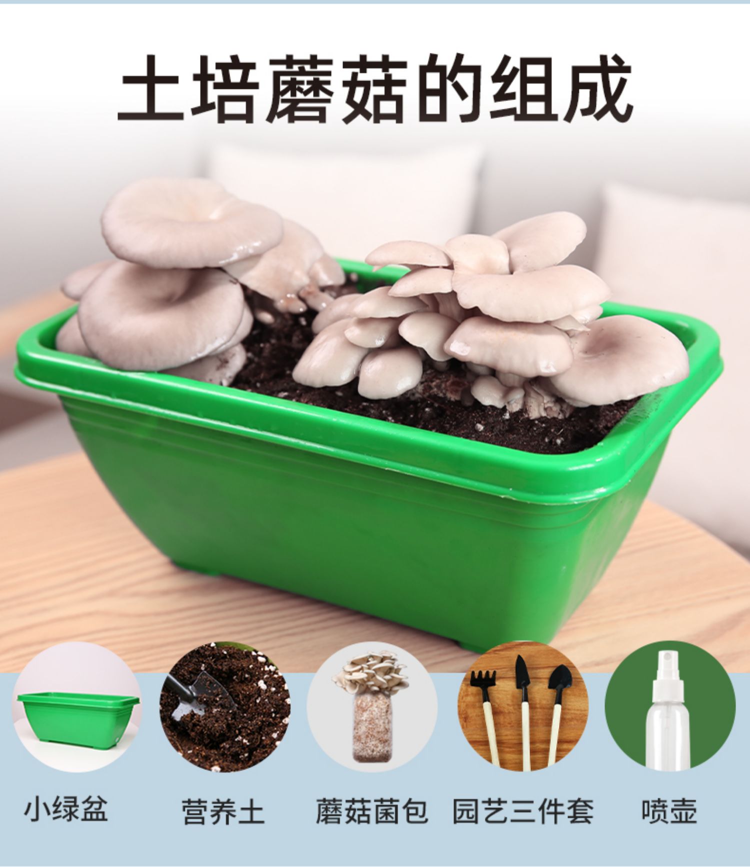 蘑菇种植包土培菌包菌种家种菌菇包黑平菇香菇家庭室内四季食用菌