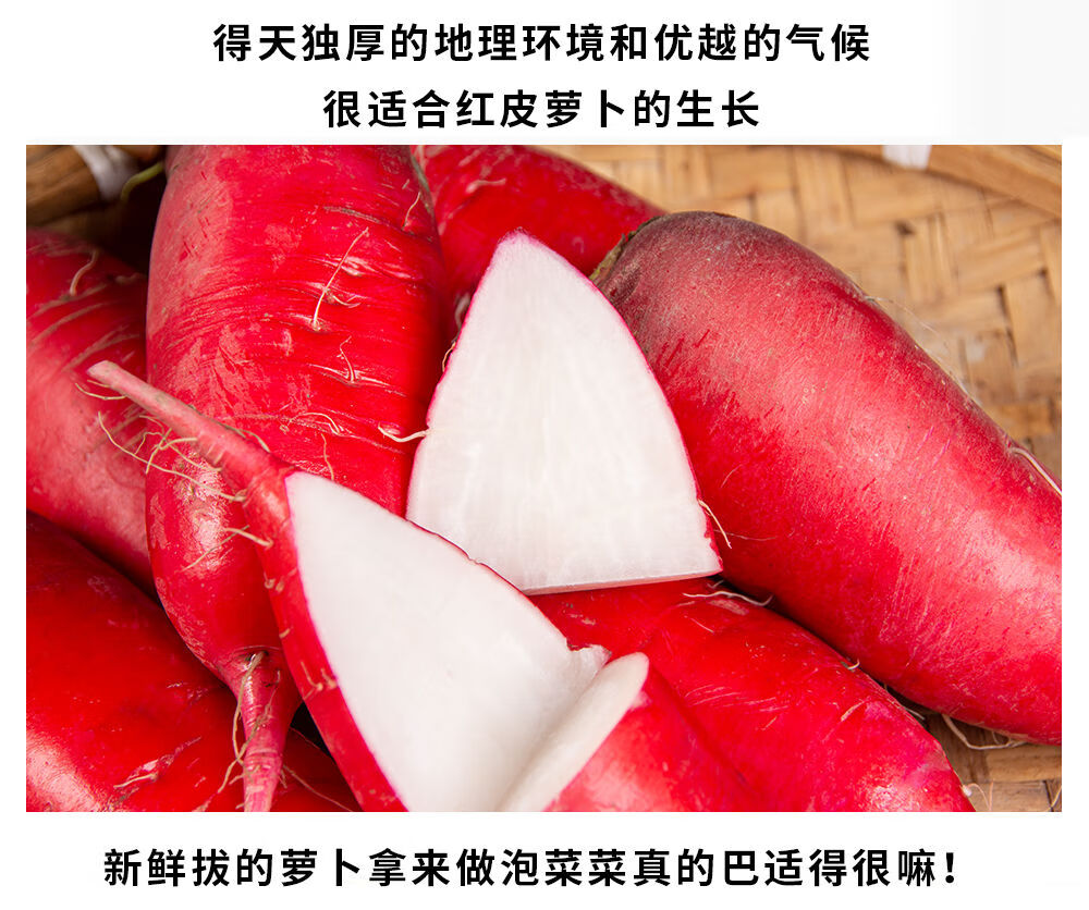 四川泡菜红萝卜农家红皮白心水萝卜新鲜蔬菜非胭脂萝卜小萝卜现货