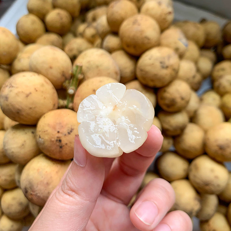 泰国龙宫果龙龚果椰色果爱情果新鲜热带水果稀有时令 【尝鲜】1斤装