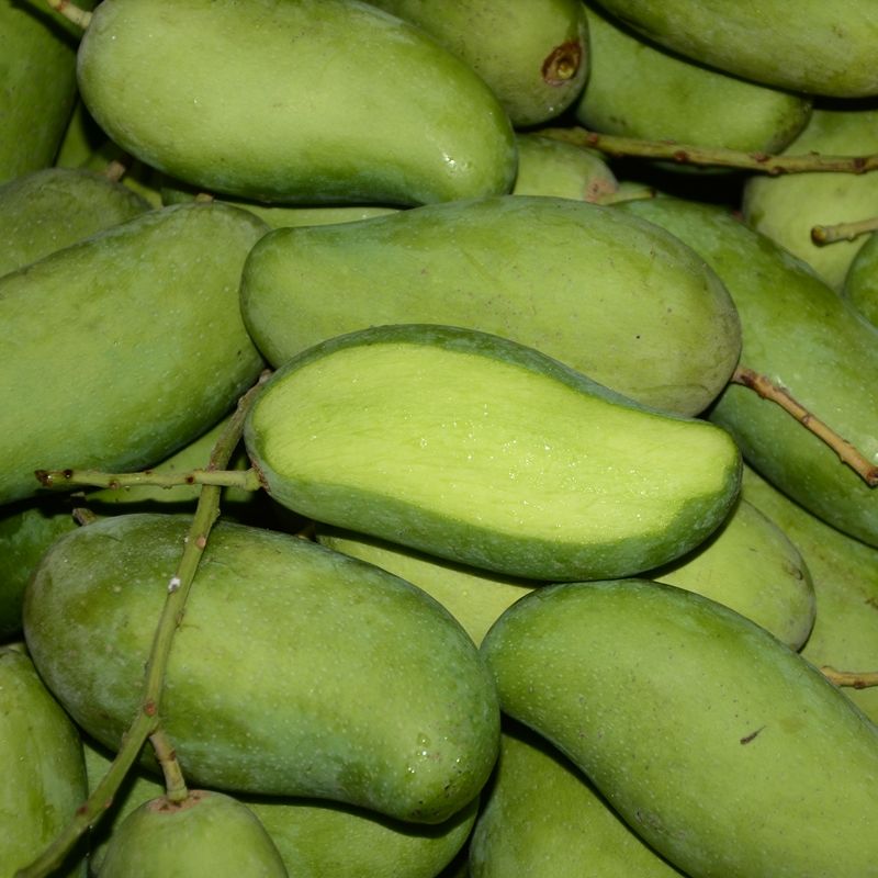 生芒果广西新鲜酸芒果生吃现摘酸野孕妇水果腌制生芒果酸脆芒果生吃芒