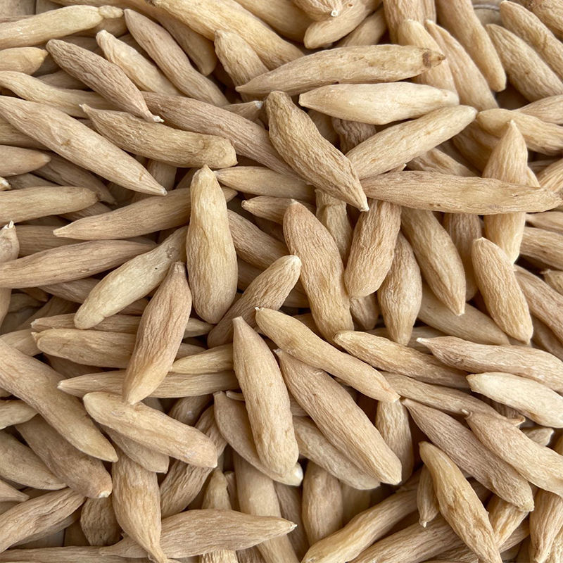 正宗麦冬中药清热纯无硫大颗粒组合野生煲汤新鲜内廷上用 大麦冬10g大