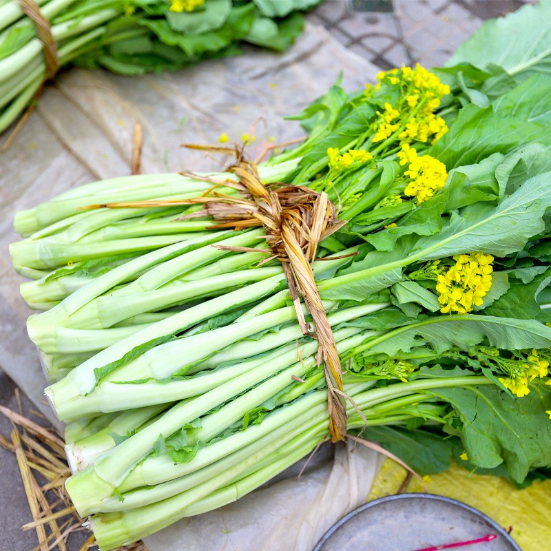 大禹增城迟菜心种子广东宁夏甜菜苔增城一号甜菜心王10g袋x5袋高脚