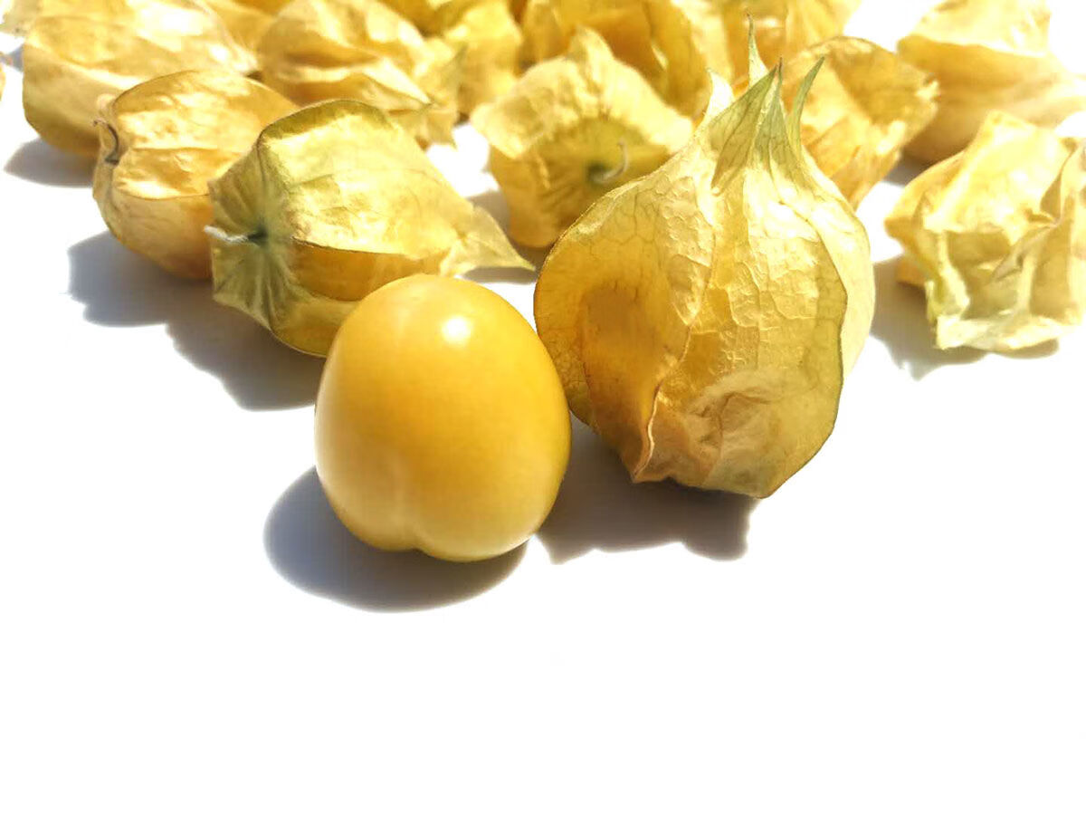 东北姑娘果大果新鲜现货精选灯笼果应季菇娘果水果黄姑娘 2斤净重