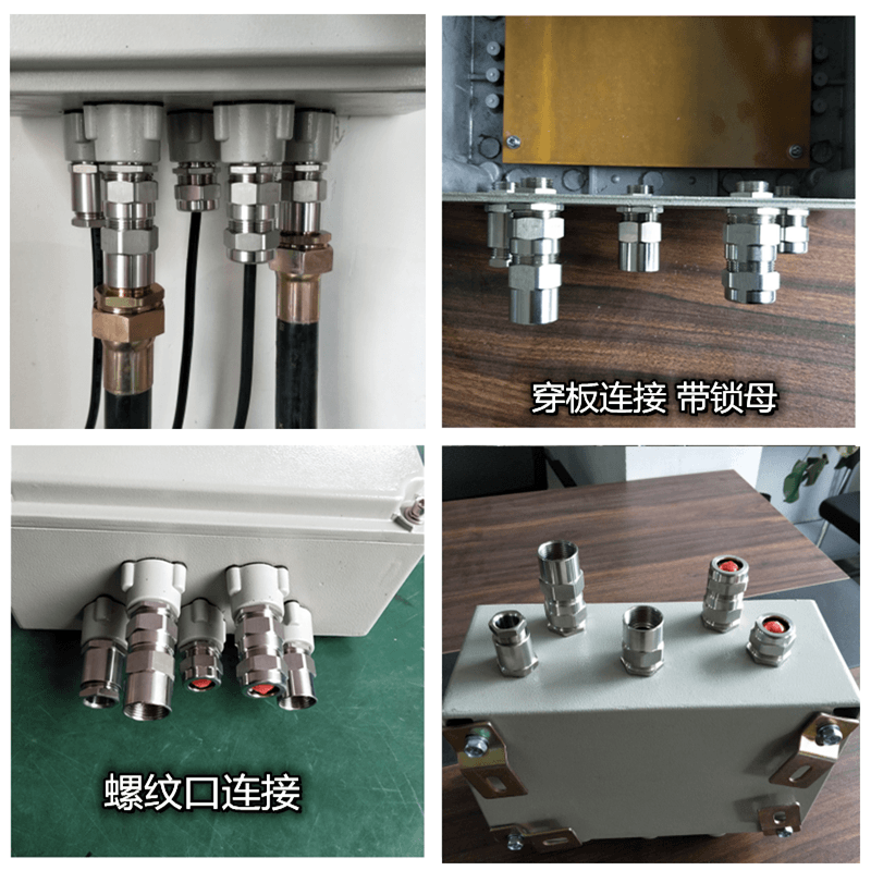 jiaranex 304不锈钢铠装防爆格兰头内外丝电缆夹紧密封接头内丝接管式