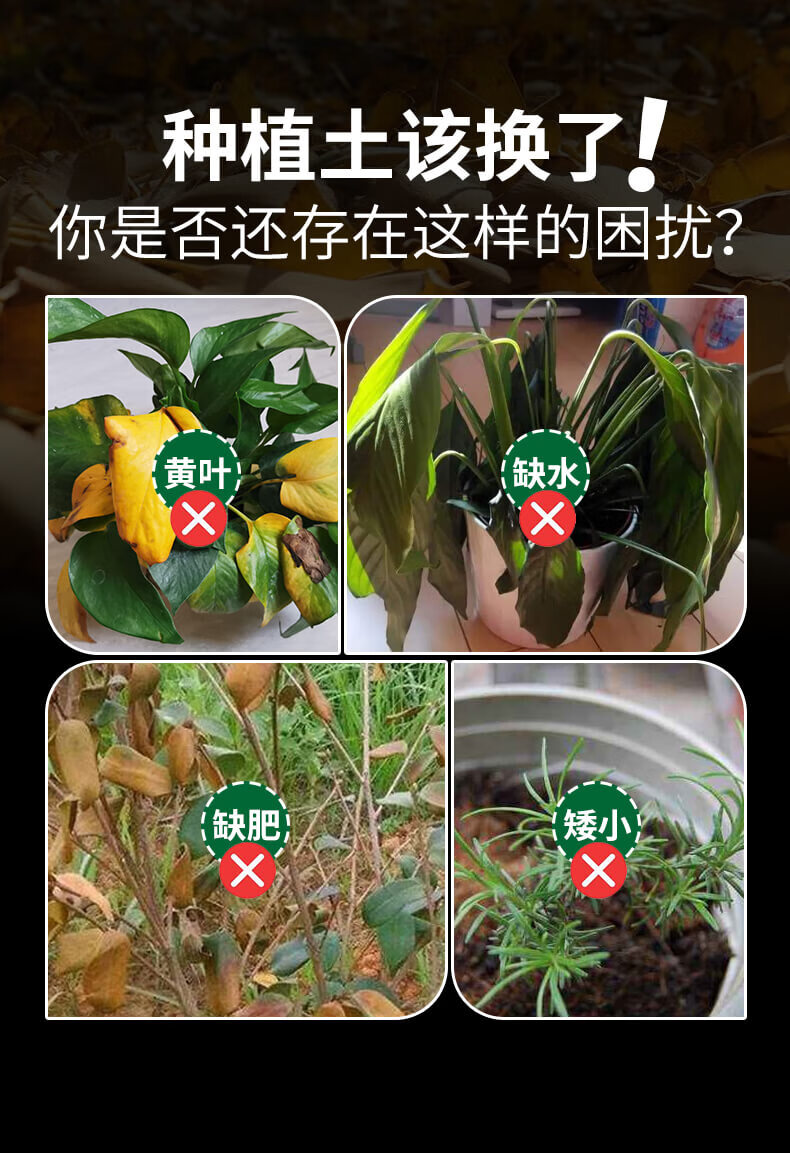 酸性营养土茉莉栀子杜鹃蓝莓山茶花白兰花喜酸性植物专用营养土酸性