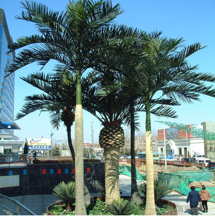 仿真椰子树大型人造景观树热带绿植装饰假椰树叶子户外假树棕榈树5米
