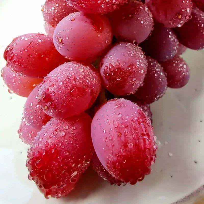 新鲜葡萄玫瑰红提子克伦生玫瑰香 3斤 克伦生红提无籽