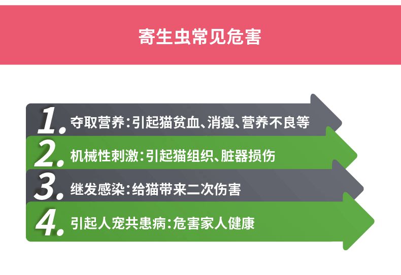 4，海樂妙躰內外敺蟲葯寵物貓咪防治絛蟲吸蟲耳蟎蛔蟲鉤蟲心絲蟲海正動保 2.1-8kg貓用56mg(整盒6粒裝 有碼)