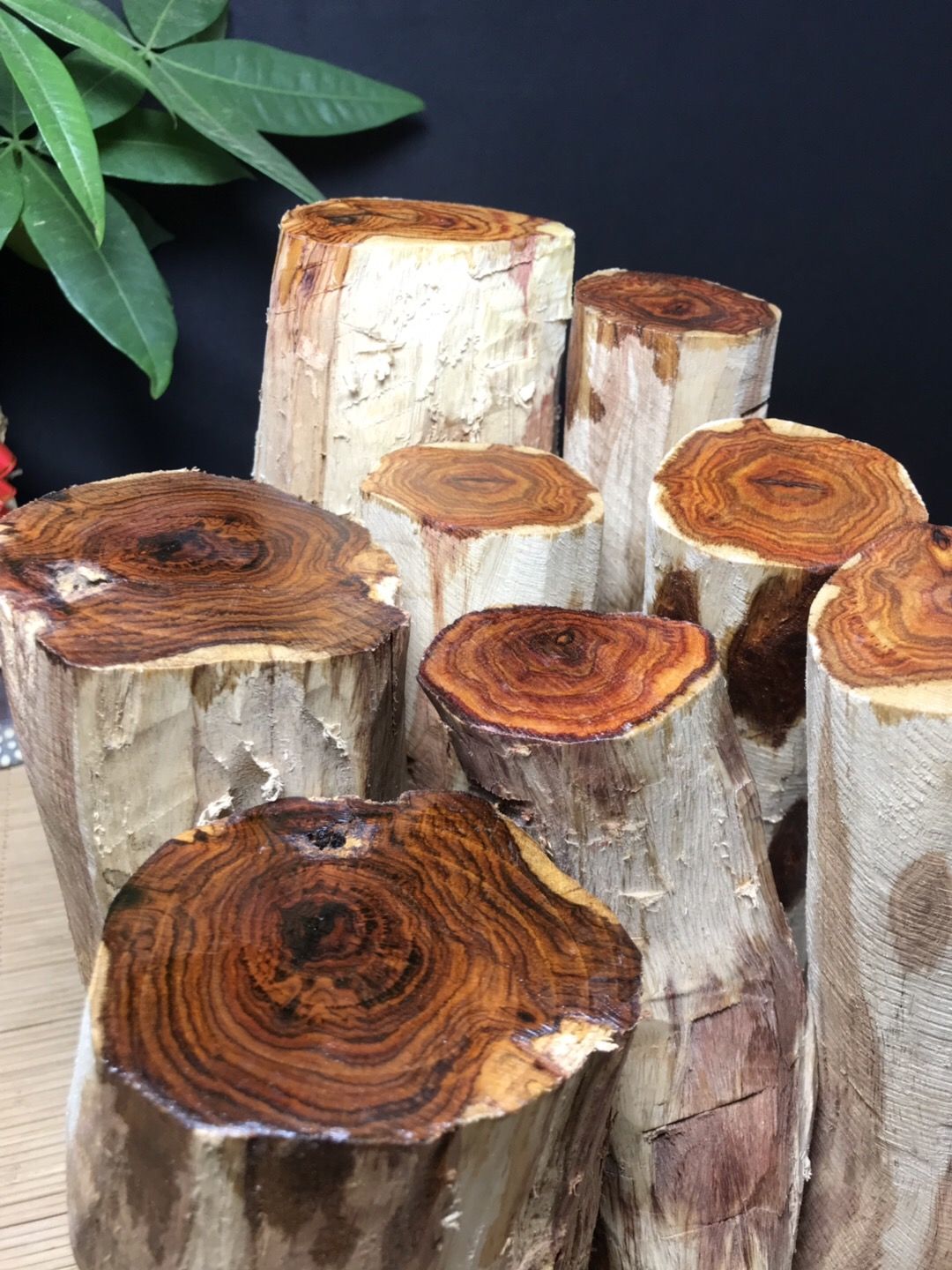 黄花梨木料海南原木料海黄紫油梨根料雕刻手把件珠子料鬼脸sn2364海黄