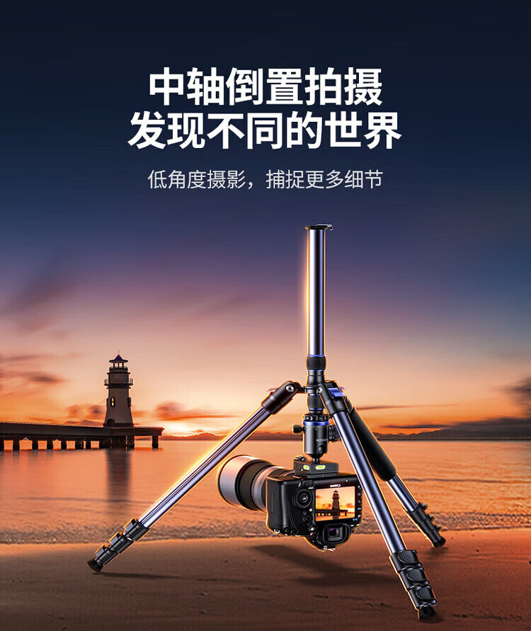 ff16f300b8bf2d41.jpg