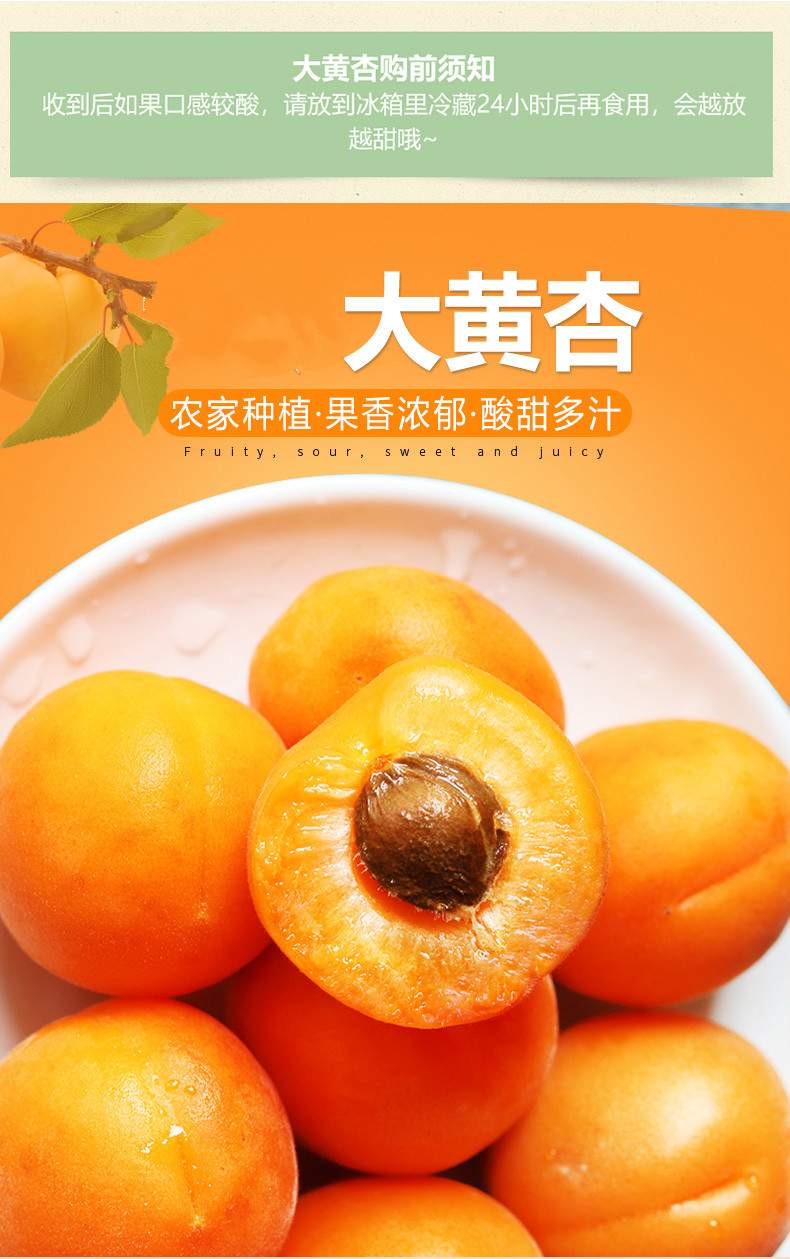 黄色大杏子 陕西大黄杏子 酸甜大杏子鲜果 新鲜水果 大黄杏2斤【图片