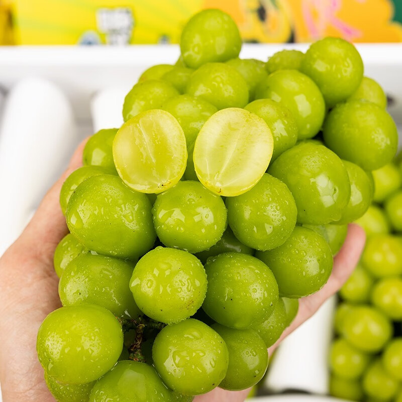 溏心风暴超甜晴王香印4斤礼盒装云南花香提子青提新鲜水果同城 1900g