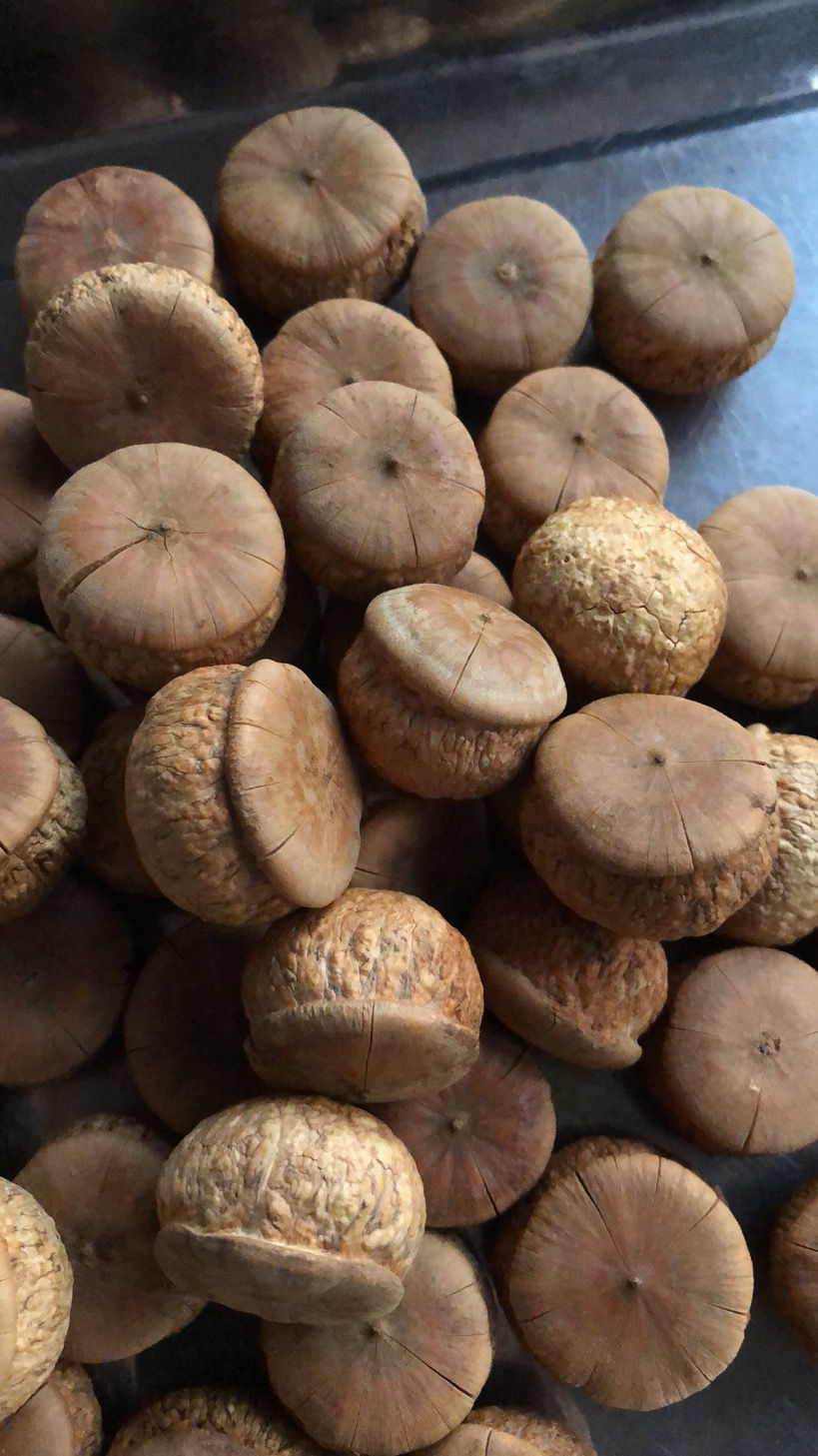 果干广西特产泡酒料益肾子天竺粒厚鳞柯掉藤果 精选500g【图片 价格