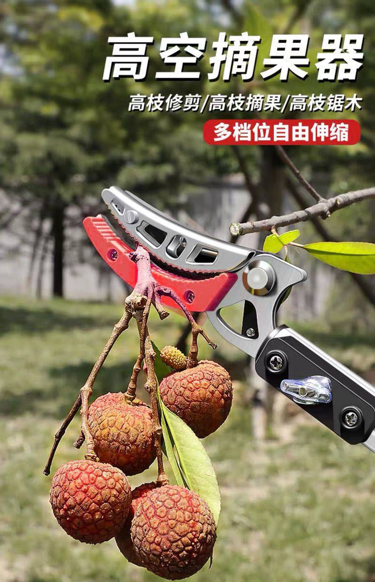 摘果神器高枝剪摘果剪摘果器枇杷水果树枝果树剪刀伸缩高空剪 带备用