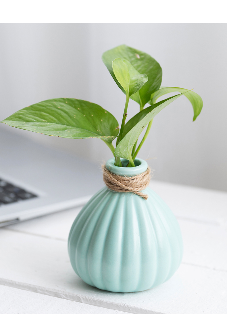 客厅家居摆件创意个性陶瓷小花瓶铜钱草水养植物绿萝水培花盆 亚光