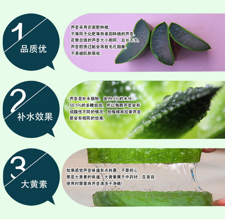 特大库拉索芦荟可食用美容院灌肤凝胶植物保湿补水面膜大叶片3035斤棵