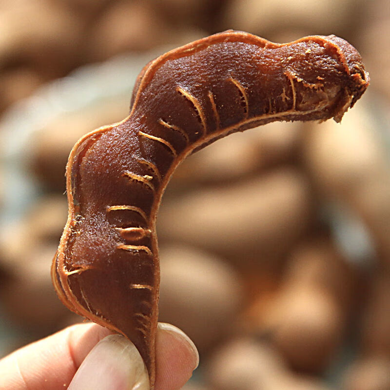 伟博新鲜甜酸角袋装甜角酸角罗望子果孕妇儿童消暑水果1千克偏酸大