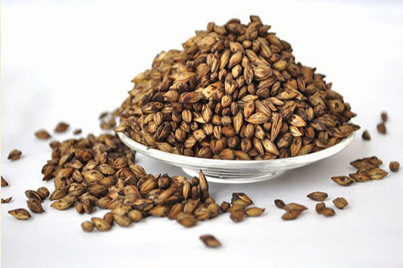 伊藤园(itoen)大麦茶茶包5g*50小包/袋冲泡大麦茶 1袋250g伊藤园大麦