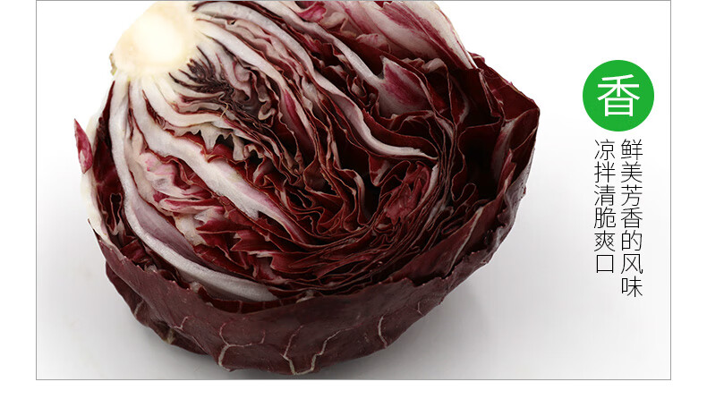 【顺丰】落地红球生菜1000g 红菊苣紫苣新鲜蔬菜沙拉食材