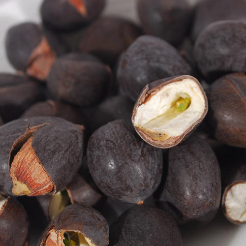 湖南产地新鲜带壳干莲子即食大老莲子黑莲子荷花种子铁莲子手串精选带