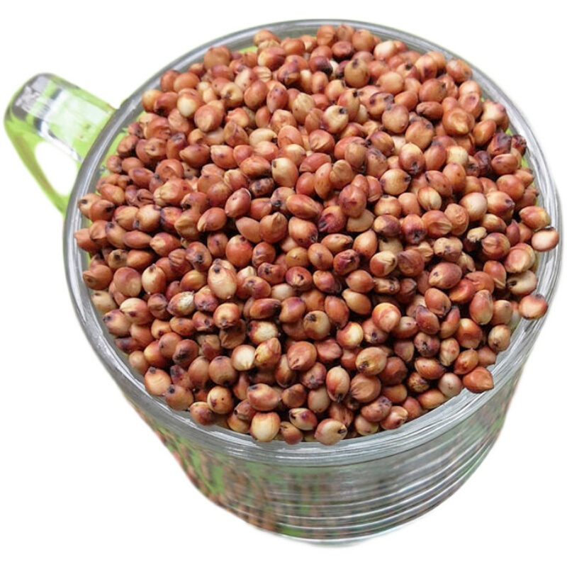 1斤带皮红高粱去壳未脱皮食用酿醋酿酒用打磨面