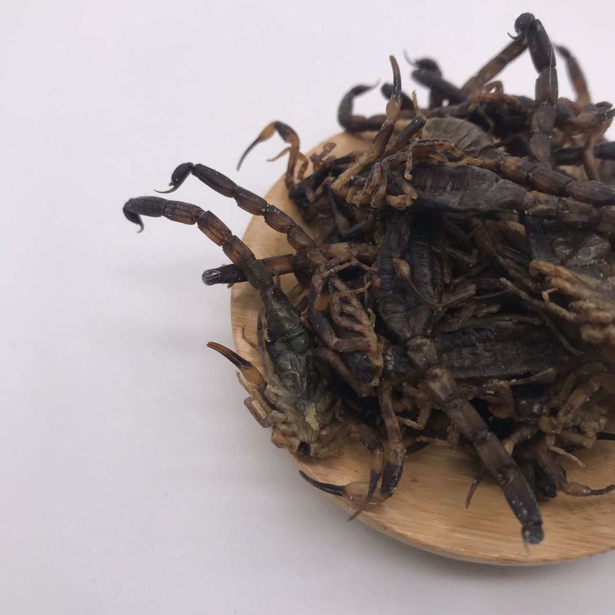 伟博全虫50克g蝎子干全虫蝎干十足中药材十足另售水蛭蜈蚣50克送保鲜