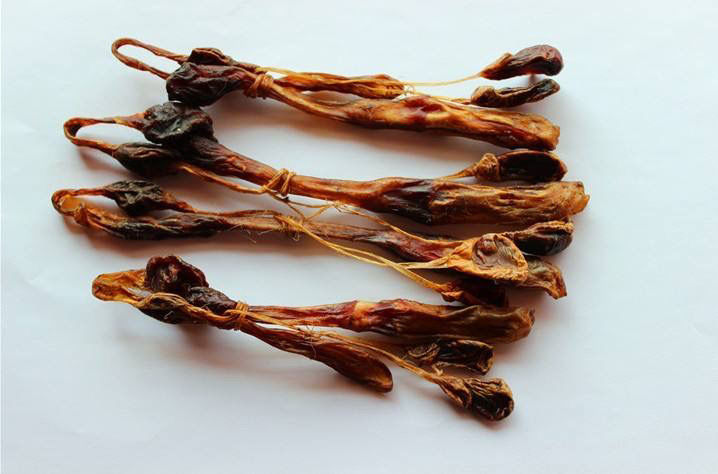 海狗鞭泡酒中药材搭配传统滋补养生煲汤料强身健体 海狗鞭1条鎹枸杞