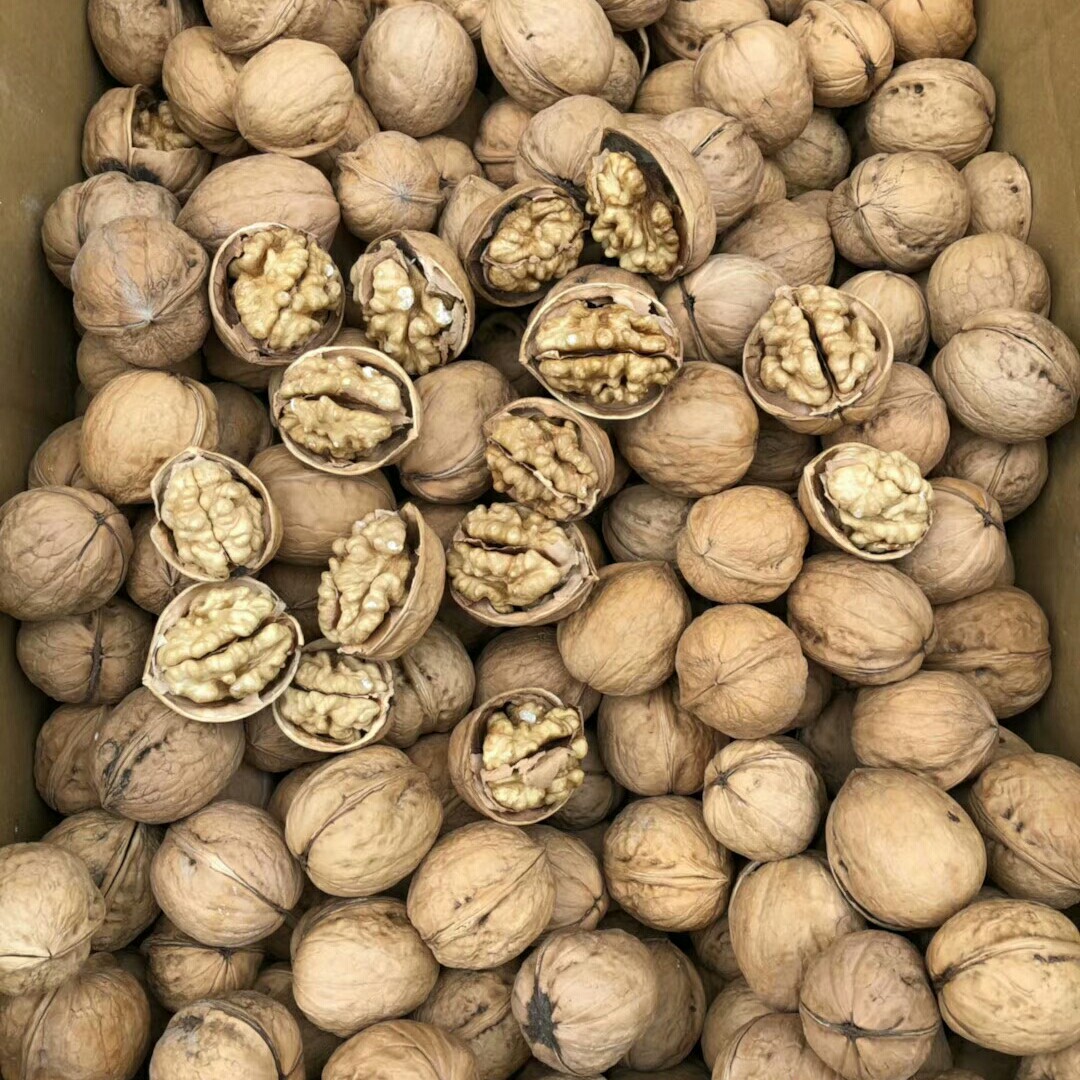 新疆特产185纸皮核桃 薄壳手捏即开 薄皮新核桃500克袋装 原味