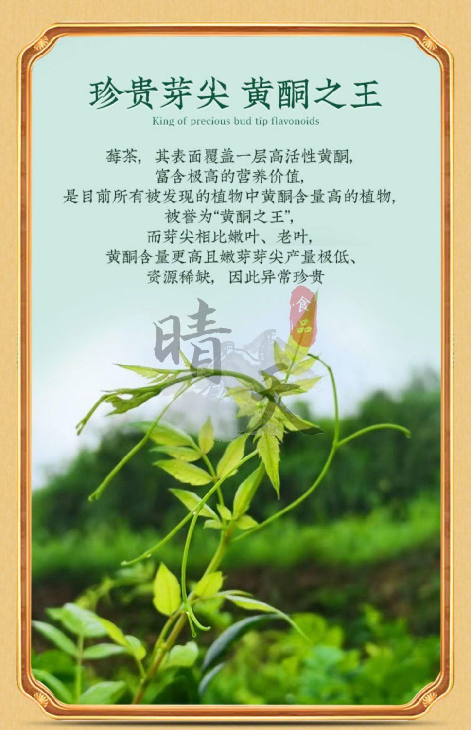 张家界野生莓茶土家永顺茶龙须嫩芽尖霉茶正宗长寿藤茶张家界野生莓茶