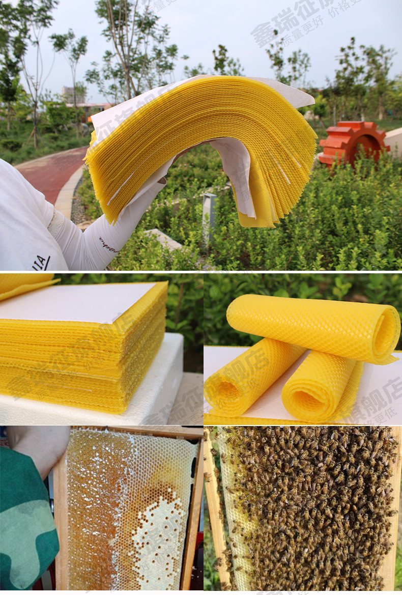 中蜂巢础 八千 蜜蜂巢础片蜂巢蜂蜡中峰巢深房巢皮巢基蜂巢础【京闪