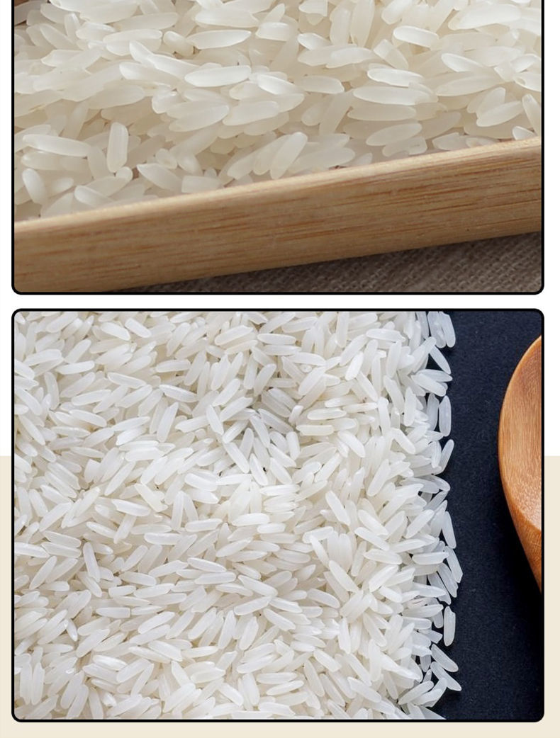 新米台山丝苗米10斤20斤5斤长粒香大米批发鲜米腾旺纳跃丝苗米20斤装