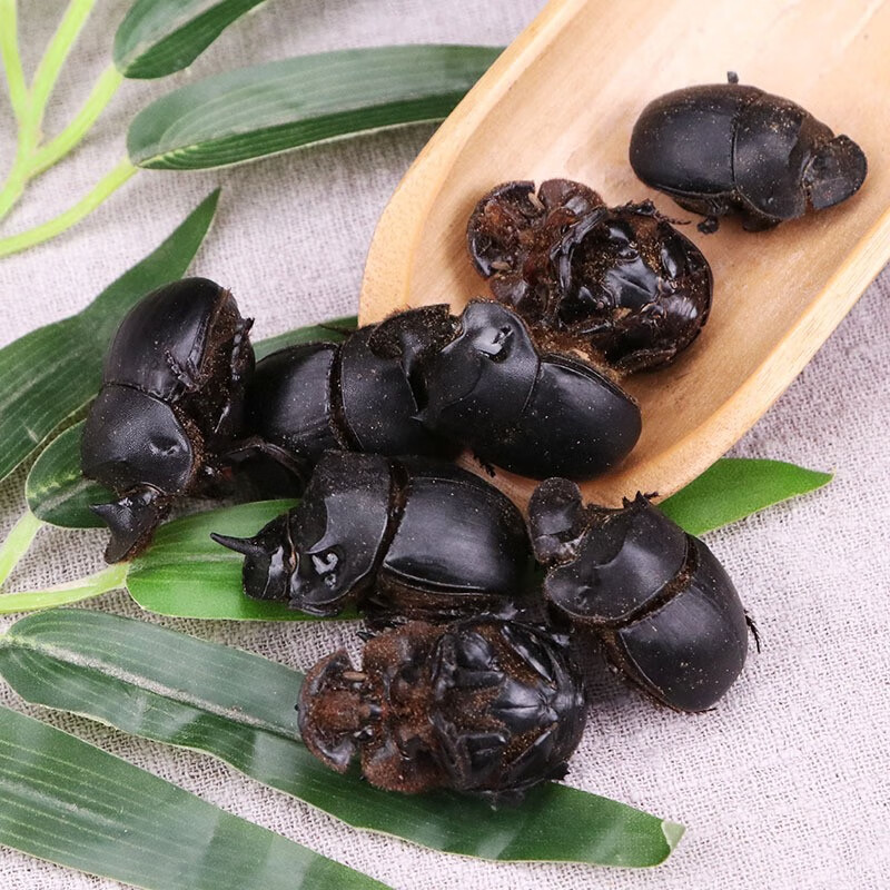 北京同仁堂 大将军 中药材 蜣螂虫 特级屁巴虫 屎壳郎 推粪虫50-500克