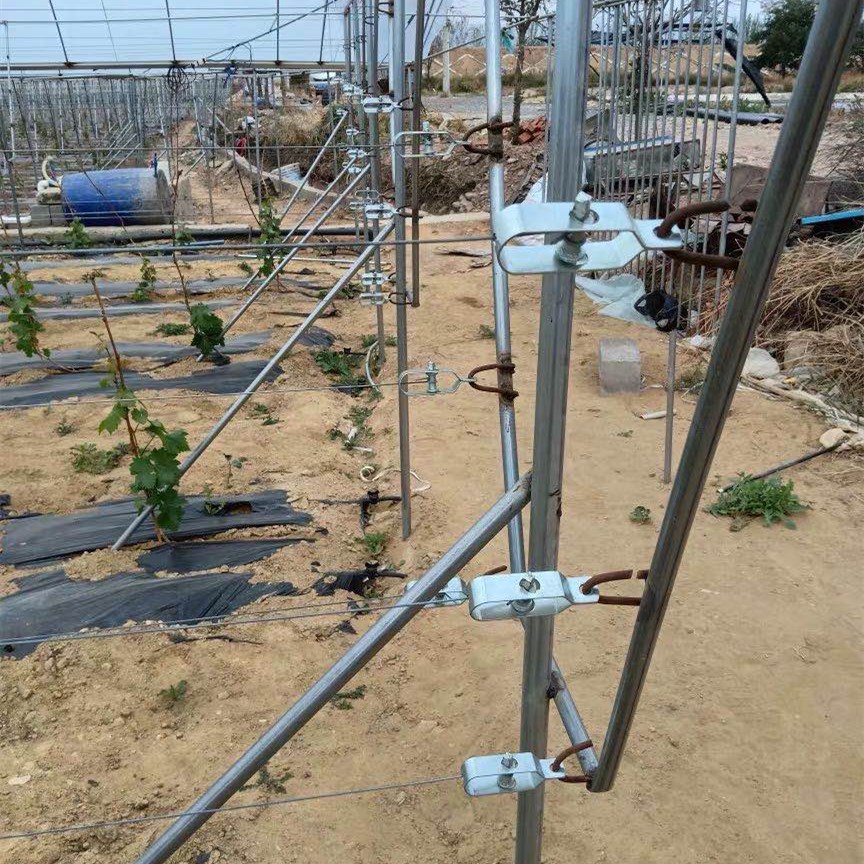 葡萄架紧线器托幕线拉直器猕猴桃钢丝绳收紧塑钢线紧绳器铁丝卡扣sou
