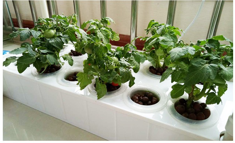 阳台无土栽培设备蔬菜种植机水培设备家用种菜室内家庭用种植相种菜盆