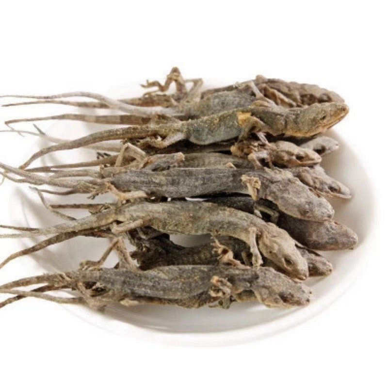 情川堂 精选开膛破肚壁虎中药材天龙干去内脏壁虎干守宫新鲜干净药用