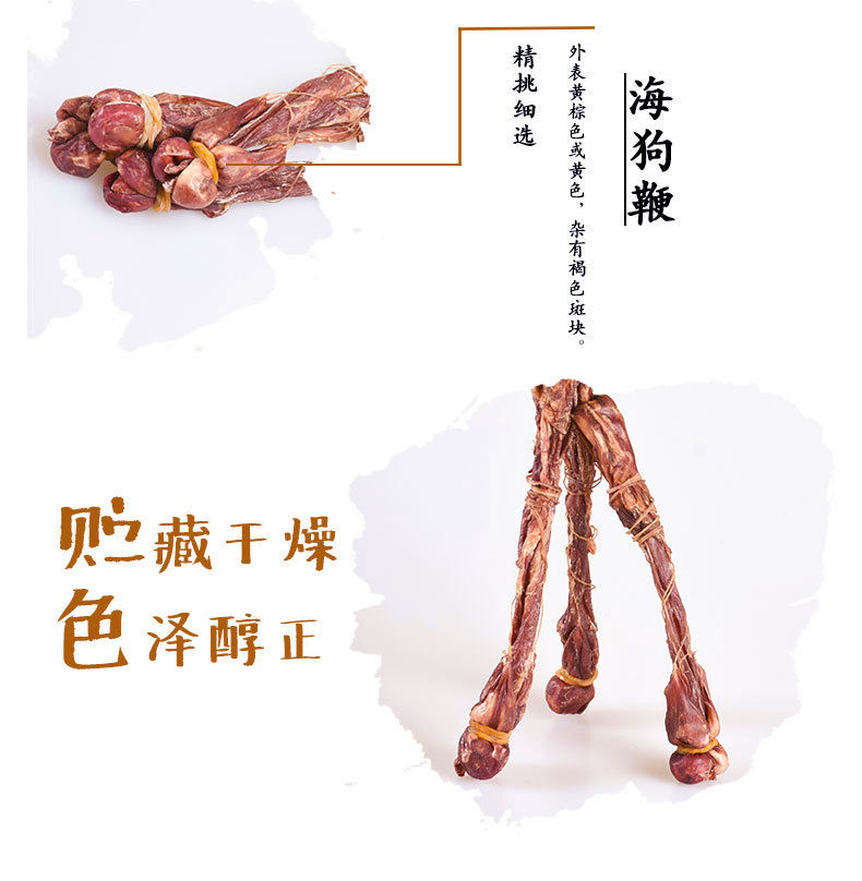 伟博海狗鞭正宗鞭中药材传统滋男滋补品泡酒炖汤鞭海狗鞭20克的鞭一条