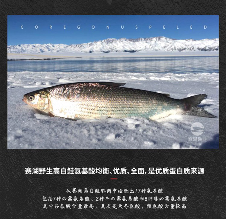 倉梵新疆賽里木湖高白鮭新鮮魚籽醬原味壽司調味魚子醬xo魚子醬魚高