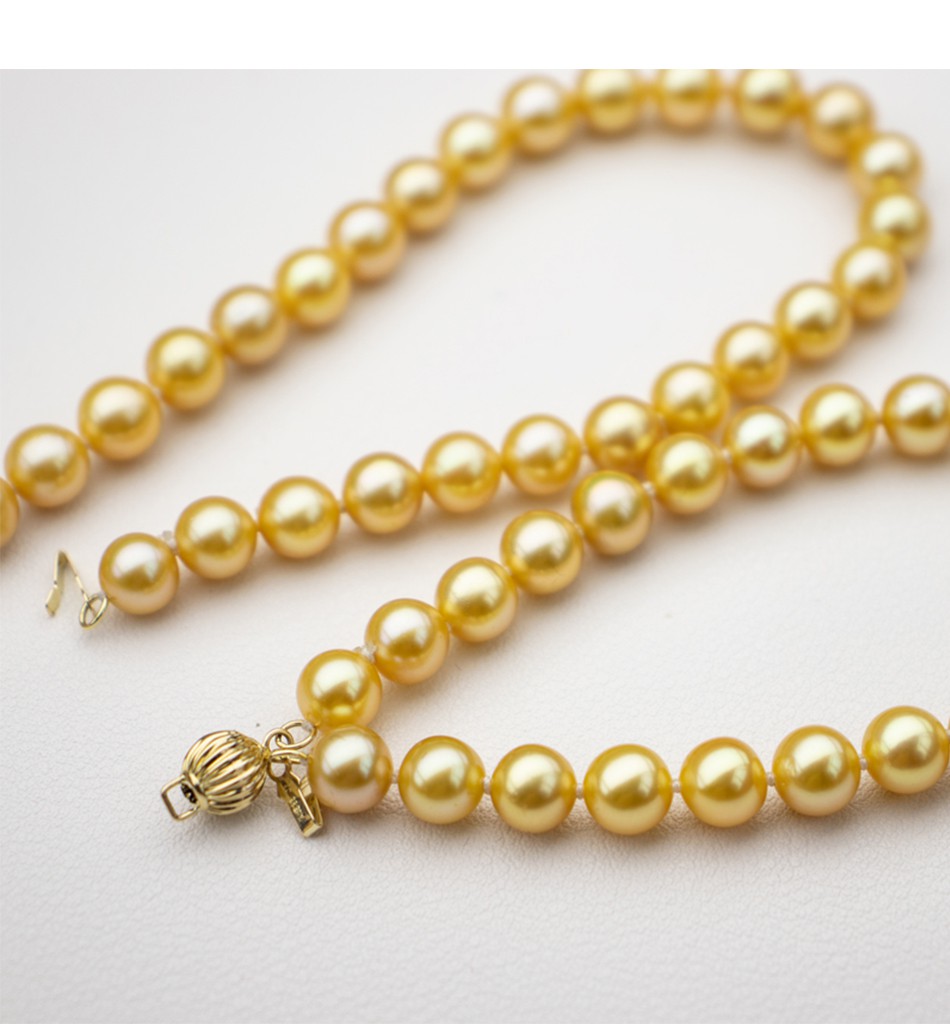 香槟金品质南洋金珠羽 皇金珍珠手链 14手串 正圆极强光 近圆几乎无瑕