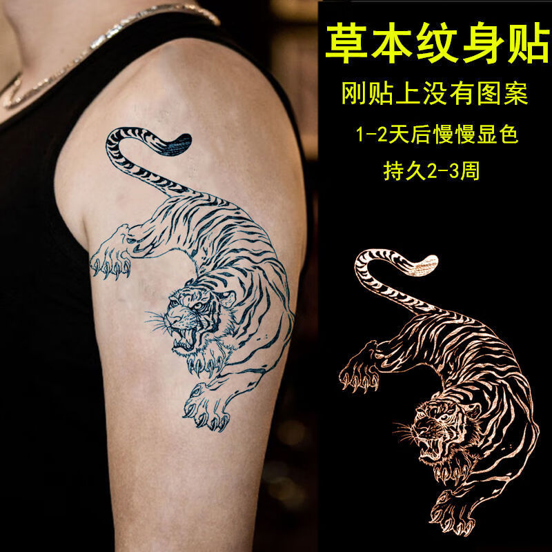 果汁半纹身贴割线全臂刺青艺青龙防水仿真龙姬线条升级线下山虎2一张