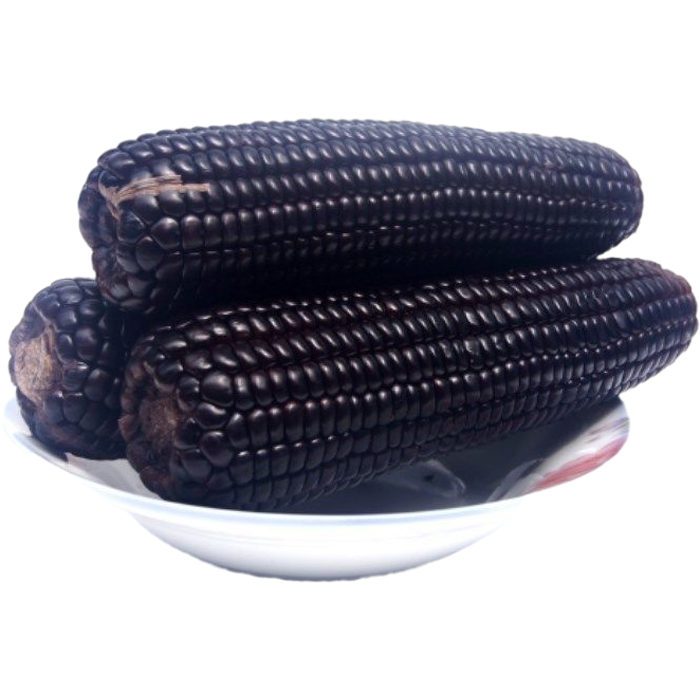 山西忻州特产甜糯黑玉米真空装新鲜加热即食粗粮粘黏苞米黑玉米220克5