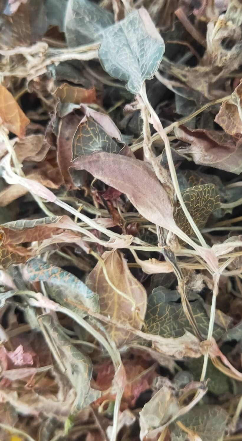 北京同仁堂原料广西野生金线莲(肺金草)精选整株干品50克散装泡水喝的