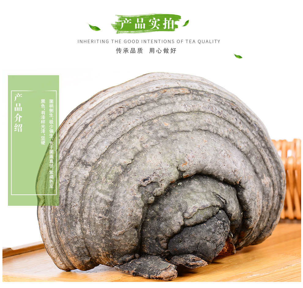 敬贤堂长白山马蹄灵芝木蹄灵芝长白山木蹄灵芝可切片木蹄灵芝250g