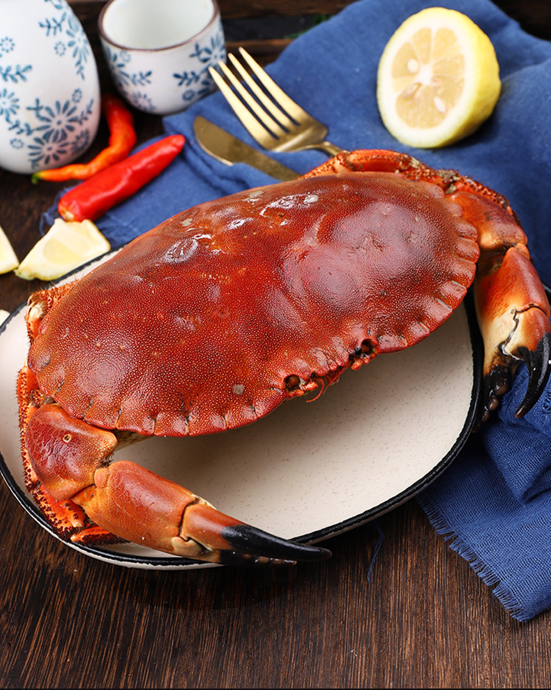 海皇湾面包蟹鲜活熟冻大海鲜螃蟹梭子蟹海蟹黄金蟹英国满黄珍宝蟹