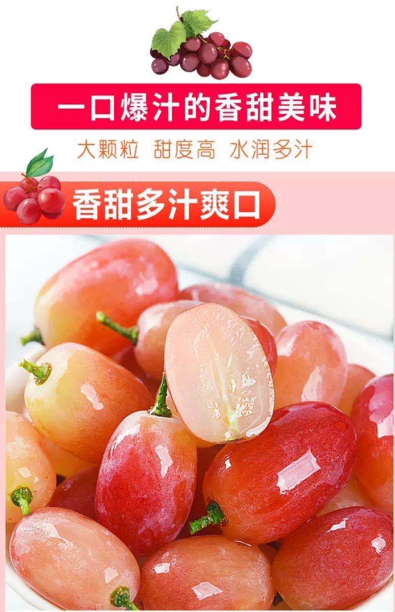 新鲜葡萄玫瑰红提子克伦生玫瑰香 3斤 克伦生红提无籽