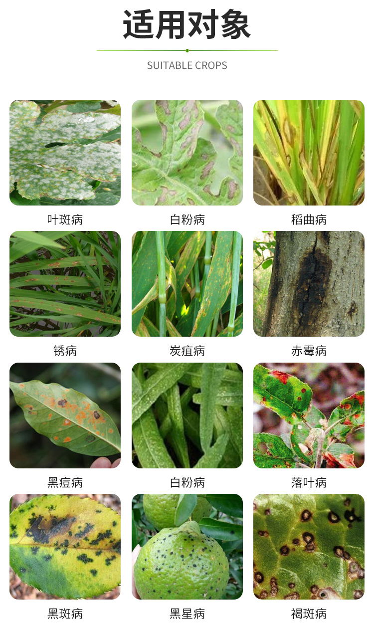 青岛瀚生瀚祥43戊唑醇剂斑点落叶病叶斑病炭疽病白粉病锈病10g