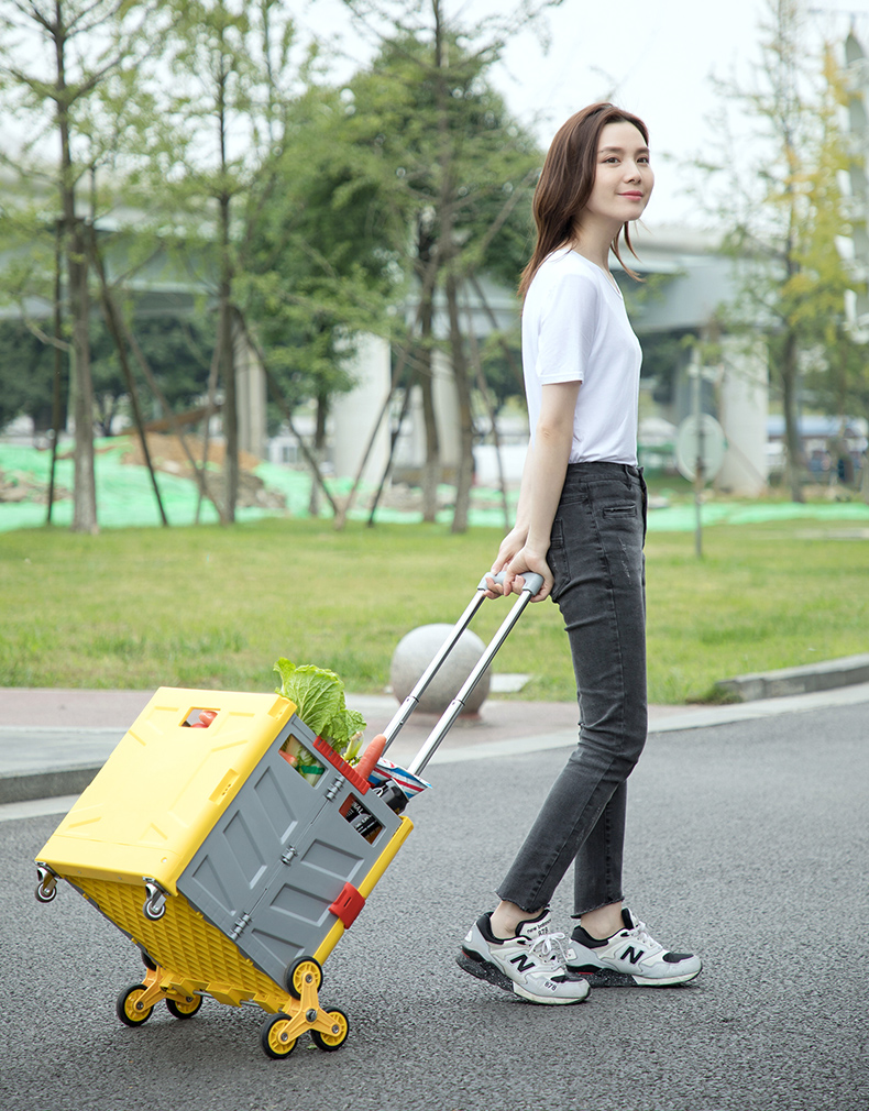 買菜車小拉車摺疊購物車便攜式手推車家用拉桿車爬樓梯小拖車8輪爬