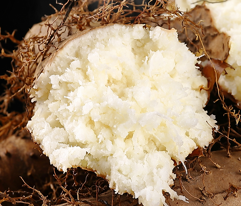 广东新鲜毛薯火苕脚板薯猪仔薯田薯茂名特产粉糯香野山药甜薯 3斤