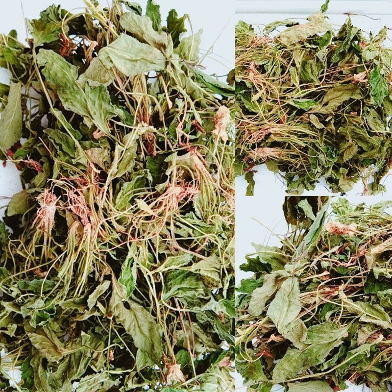 伟博新鲜干品紫花地丁带根整颗苦全草茶野堇菜小鸡菜甜地丁米口袋 3斤