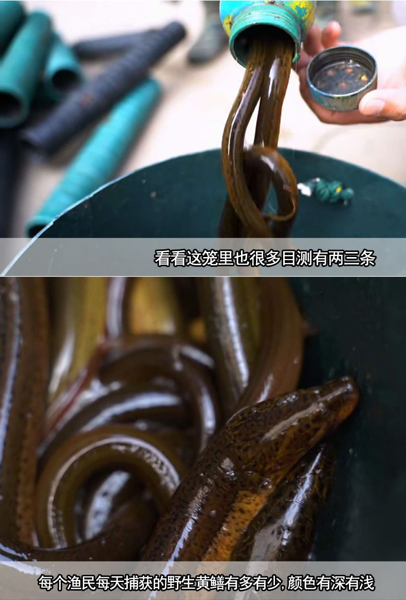 0kg店铺:莫尔加德生鲜官方旗舰店商品编号:10032680319185商品名称